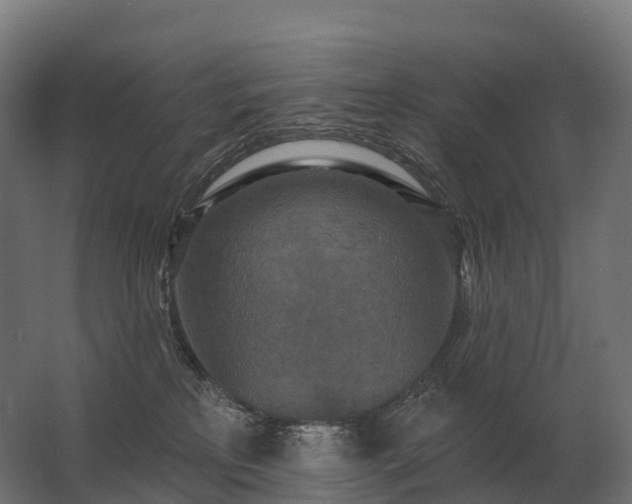 X0000062790233200512290231