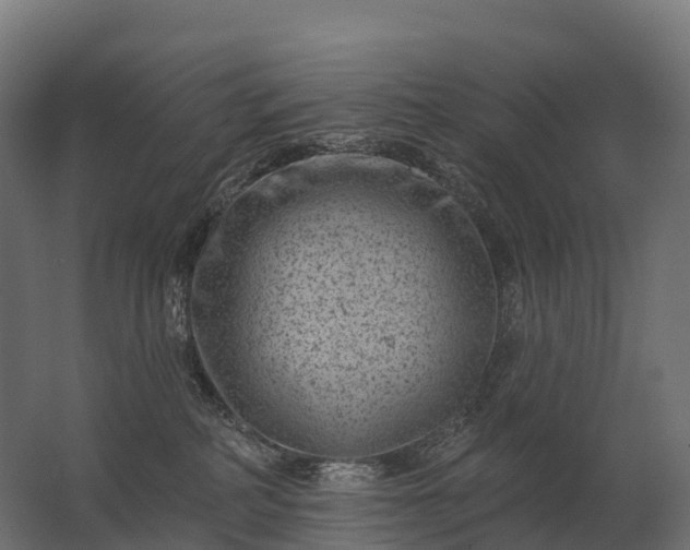 X0000062790234200512290231