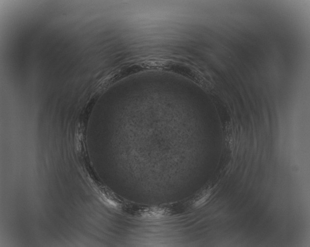 X0000062790235200512290231