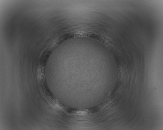 X0000062790236200512290231