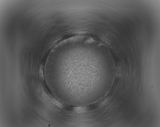 X0000062790238200512290231