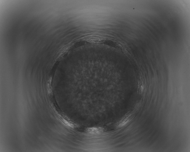 X0000062790239200512290230