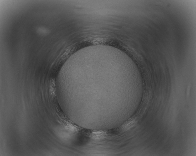 X0000062790240200512290230