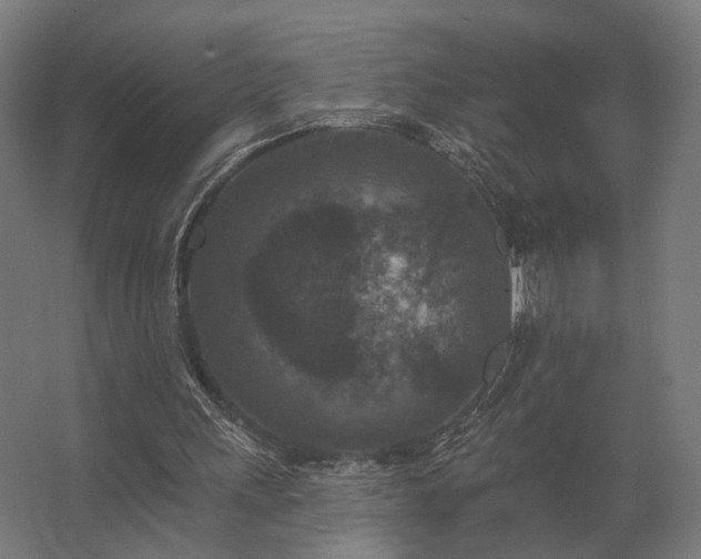 X0000062790243200512290230