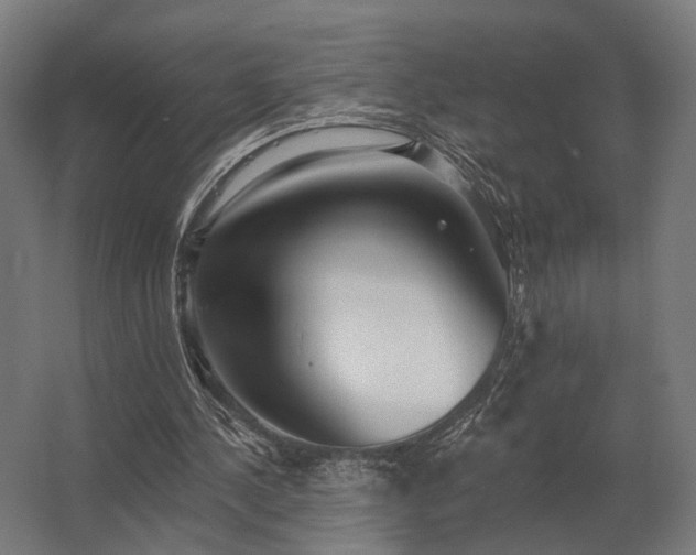 X0000062790244200512290230