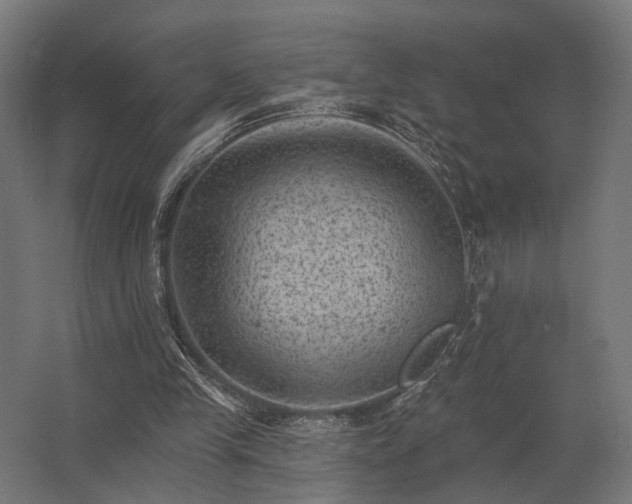 X0000062790245200512290230