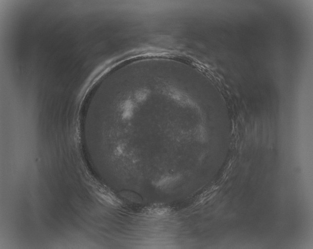 X0000062790247200512290230