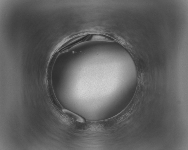 X0000062790248200512290230