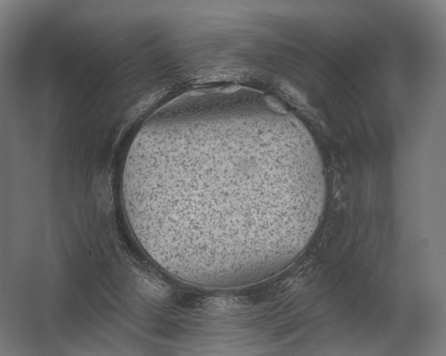 X0000062790250200512290230