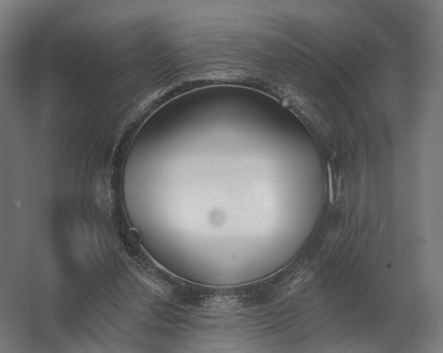 X0000062790252200512290230