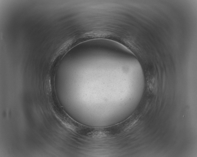 X0000062790254200512290230