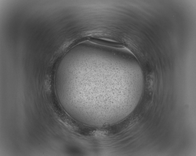 X0000062790255200512290230