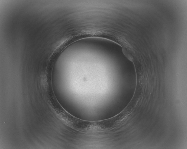 X0000062790256200512290230