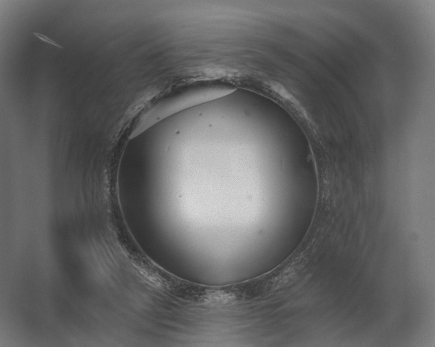 X0000062790257200512290230