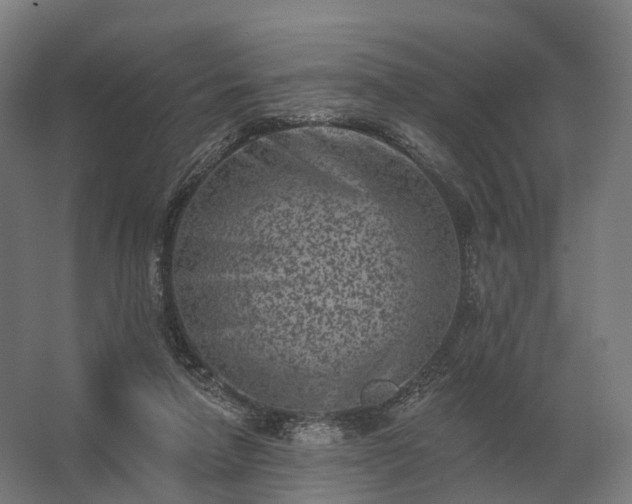 X0000062790258200512290230