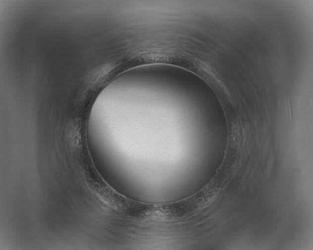 X0000062790259200512290230