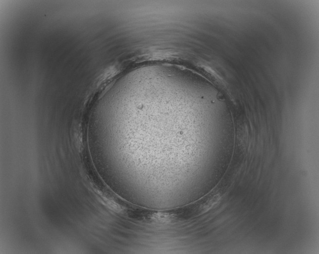 X0000062790261200512290230