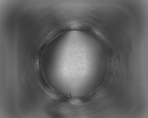 X0000062790262200512290230