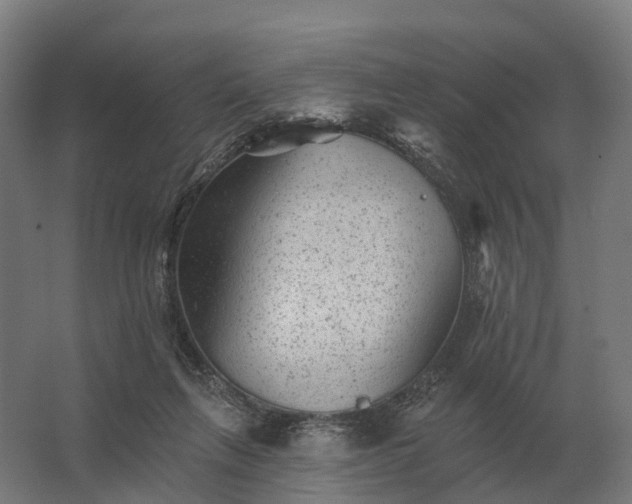 X0000062790263200512290230