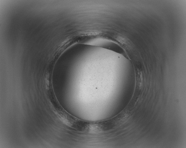 X0000062790264200512290230