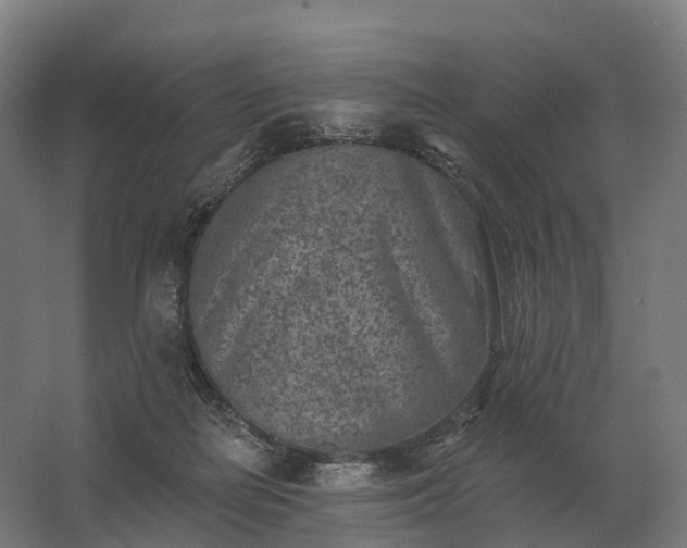 X0000062790266200512290230