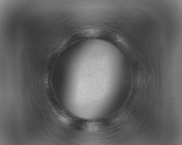 X0000062790268200512290230