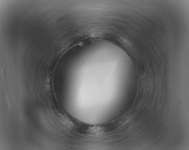 X0000062790269200512290230