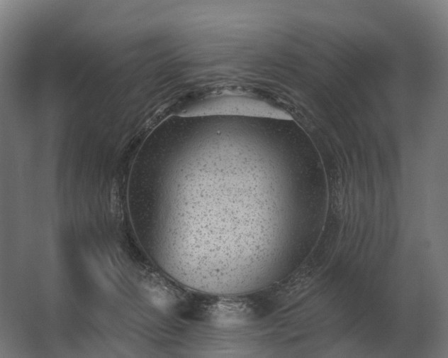 X0000062790270200512290230