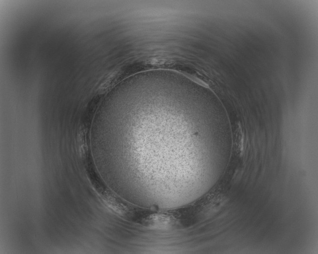 X0000062790272200512290230