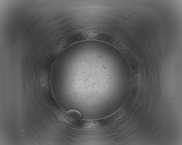 X0000062790274200512290230