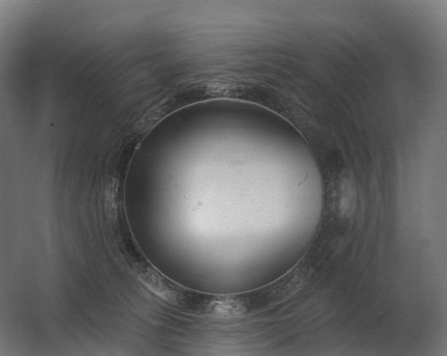 X0000062790275200512290230