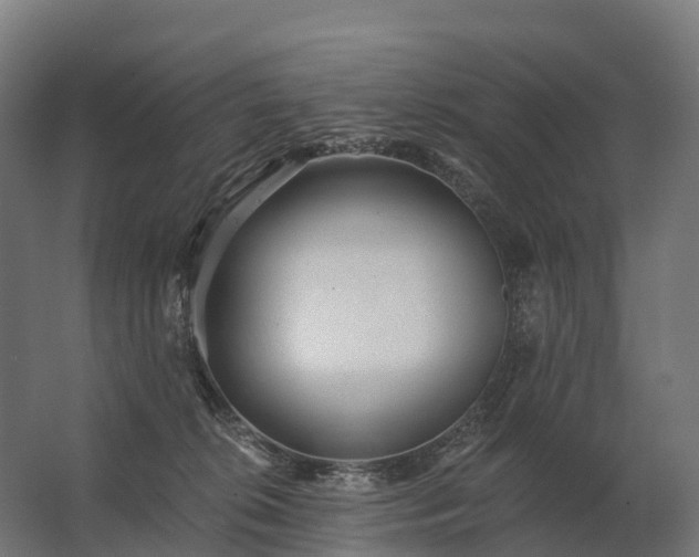 X0000062790276200512290230