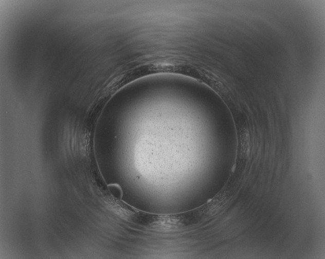 X0000062790278200512290230