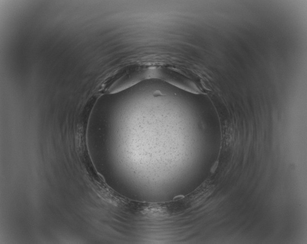 X0000062790283200512290230