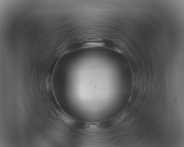 X0000062790285200512290230