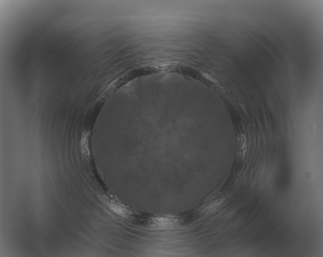 X0000062790286200512290230