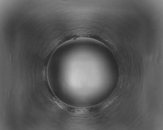 X0000062790288200512290230