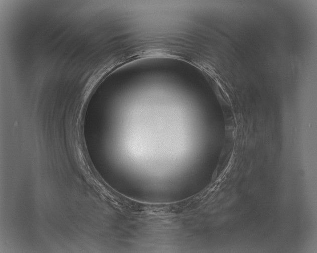 X0000062790289200512290230