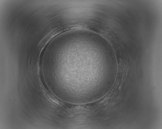 X0000062790290200512290230