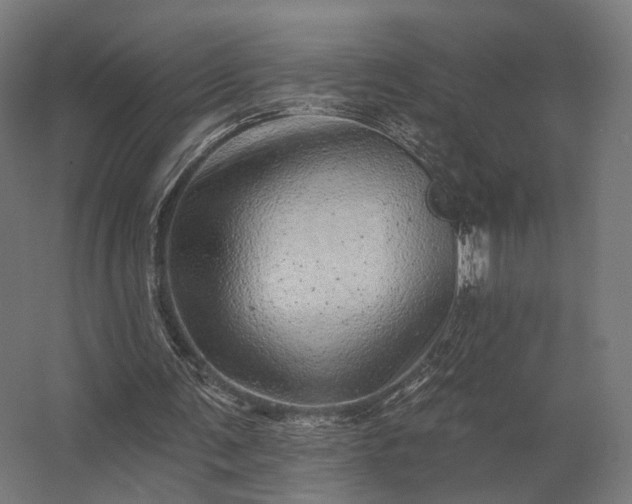 X0000062790291200512290230