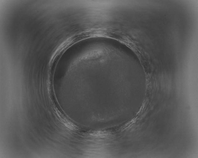 X0000062790293200512290230