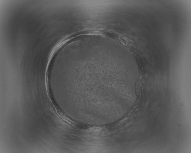 X0000062790294200512290230