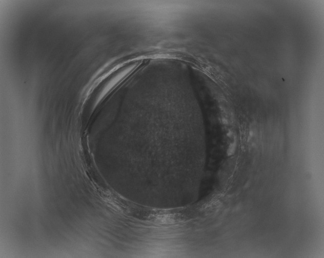 X0000062790295200512290230