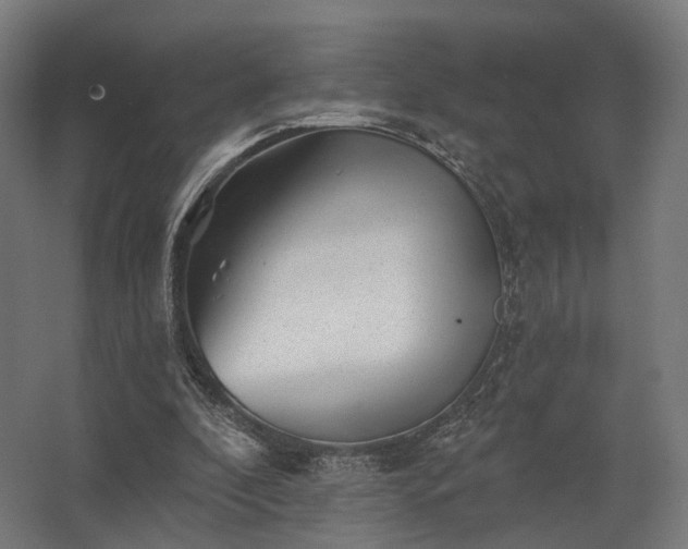 X0000062790296200512290230