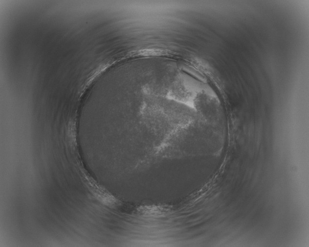 X0000062790297200512290230