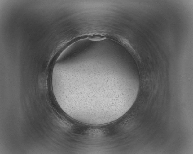 X0000062790299200512290229