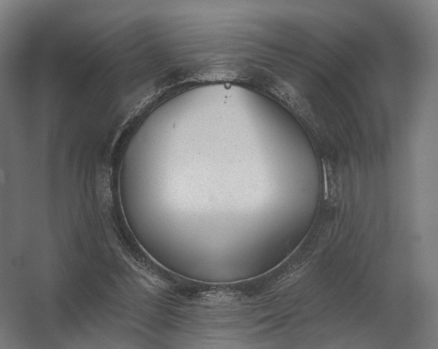 X0000062790300200512290229