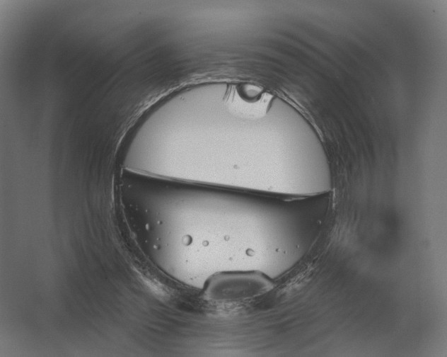 X0000062790301200512290229