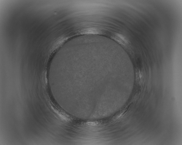 X0000062790302200512290229