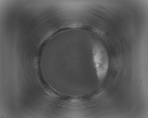 X0000062790303200512290229